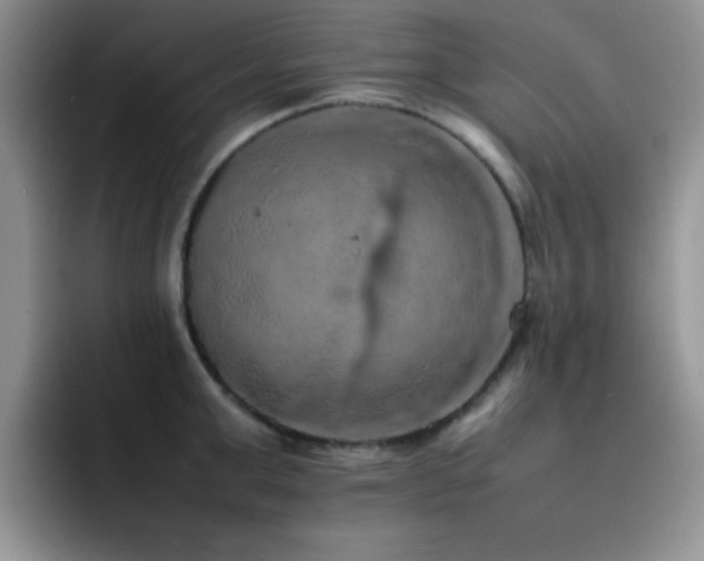 X0000092220999200709141041
