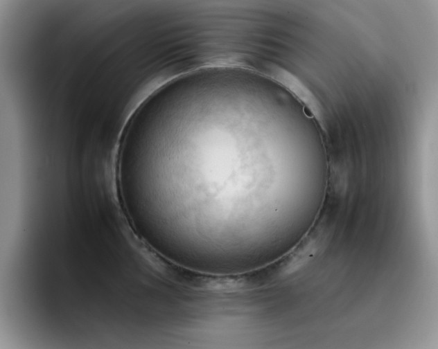 X0000092221002200709141041