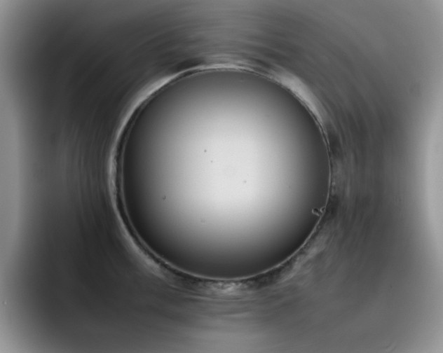 X0000092221003200709141041