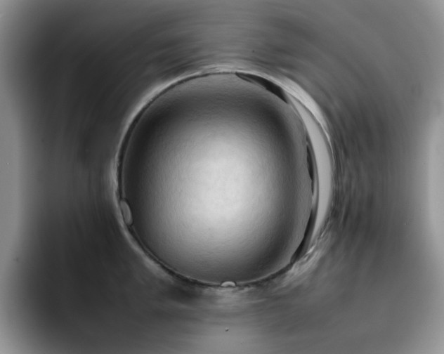 X0000092221005200709141041