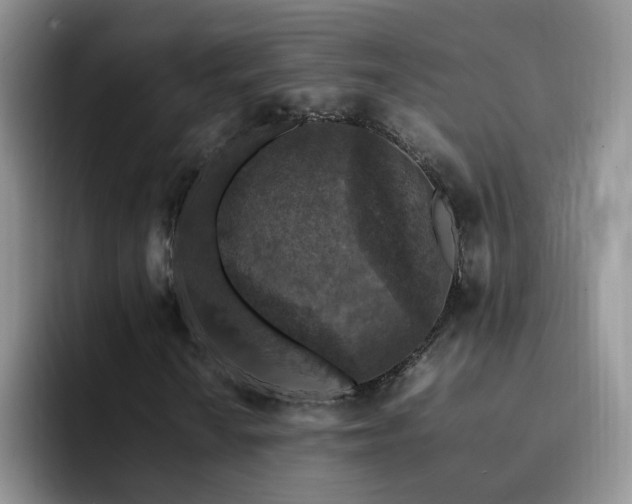 X0000092221010200709141040