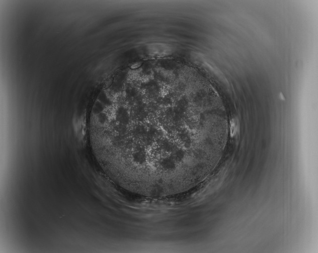 X0000092221011200709141040
