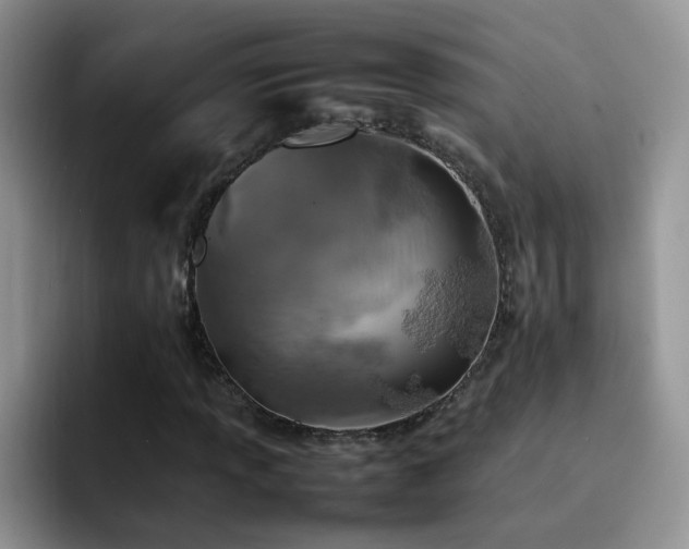 X0000092221013200709141040