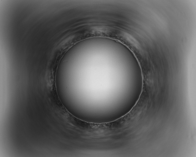 X0000092221015200709141040