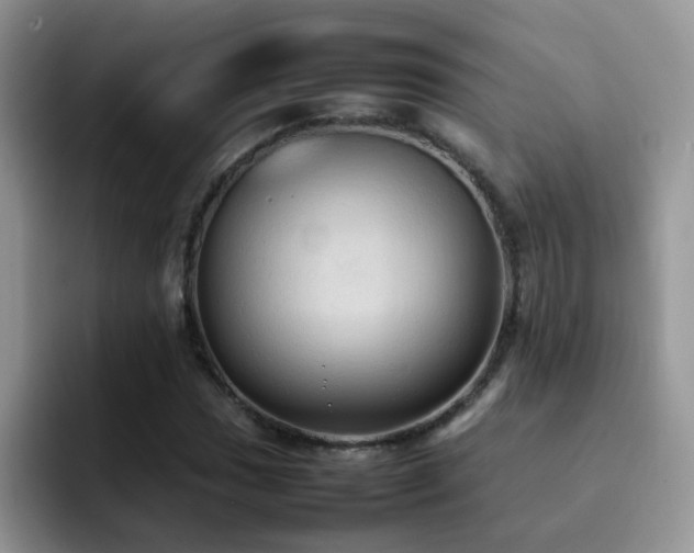 X0000092221017200709141040