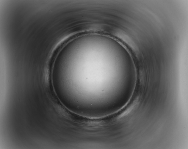 X0000092221021200709141040