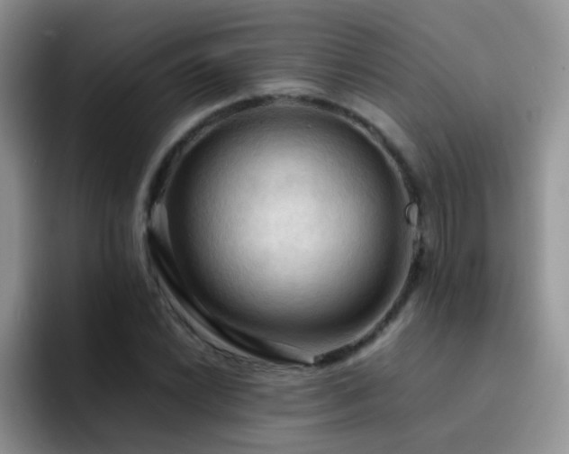 X0000092221022200709141040