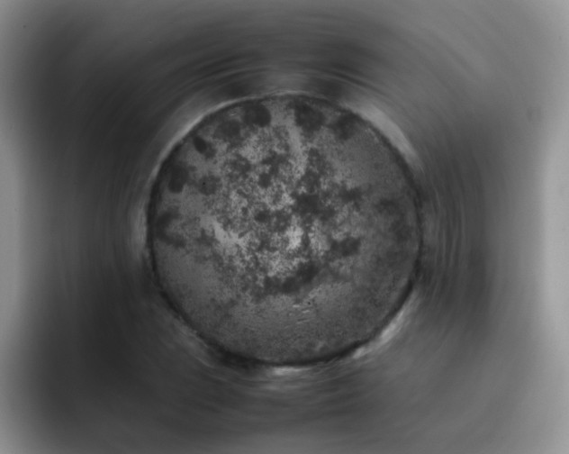 X0000092221023200709141040