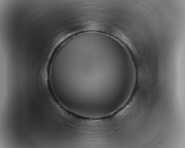 X0000092221024200709141040