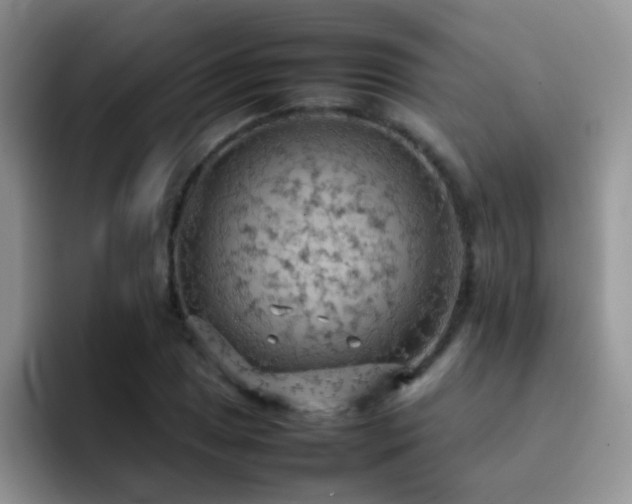 X0000092221025200709141040