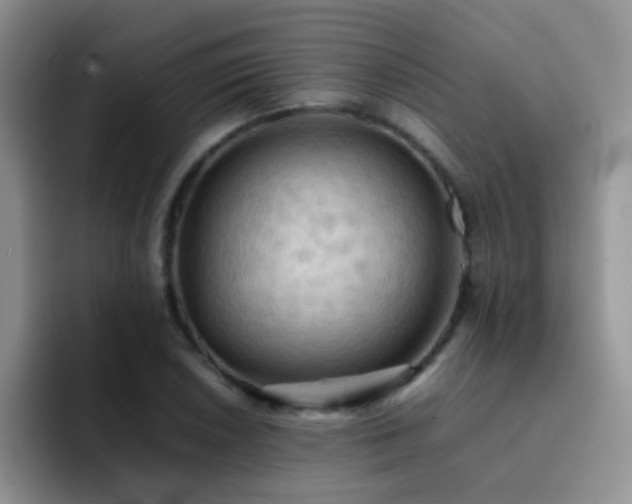 X0000092221026200709141040