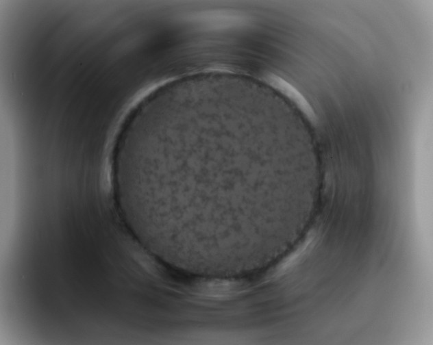 X0000092221027200709141040