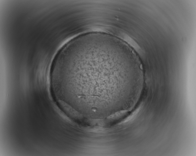 X0000092221028200709141040