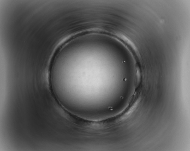 X0000092221029200709141040