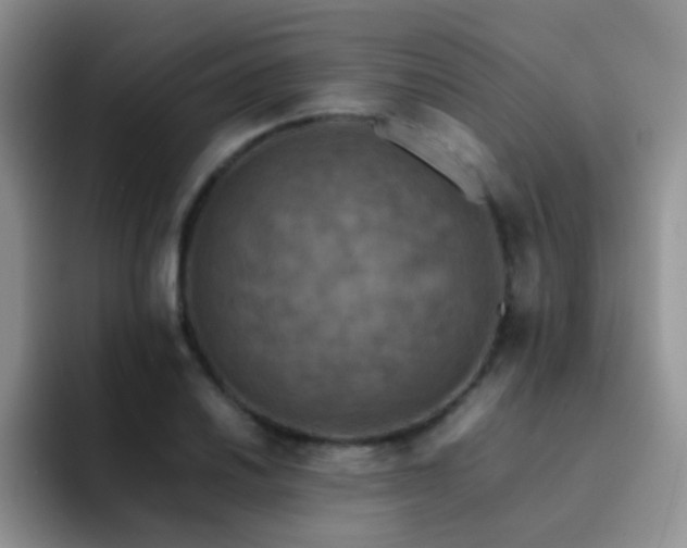 X0000092221030200709141040
