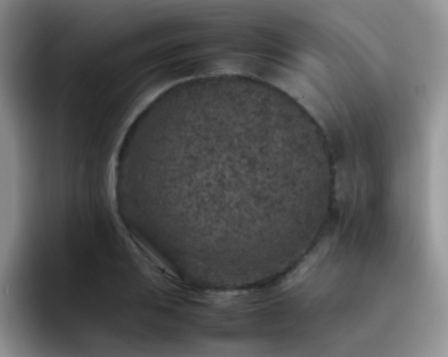 X0000092221031200709141040