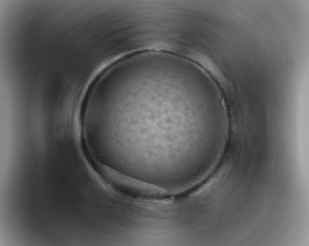 X0000092221032200709141040