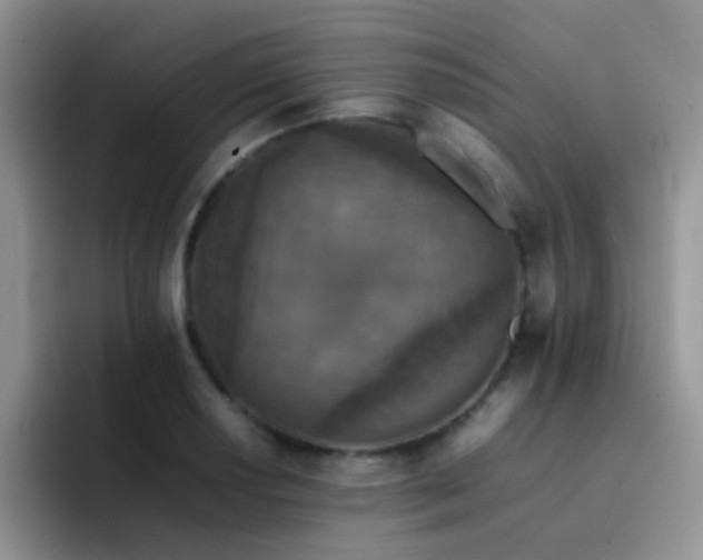 X0000092221034200709141041