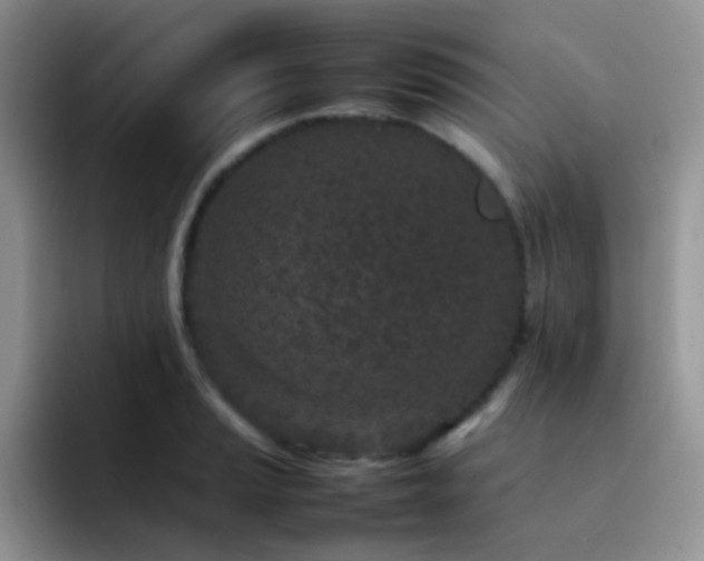 X0000092221037200709141041