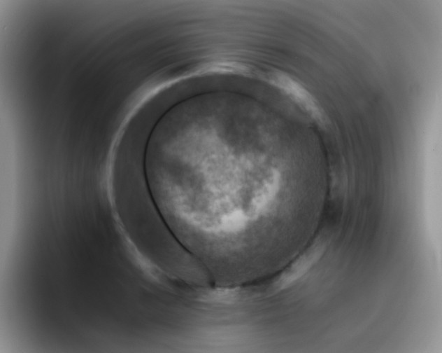 X0000092221038200709141041