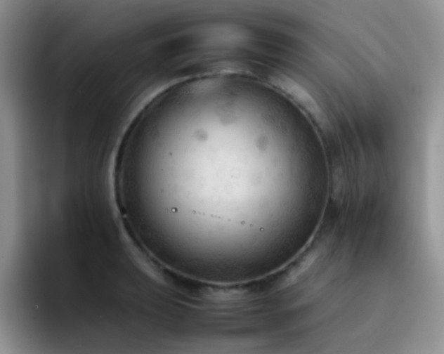X0000092221039200709141041