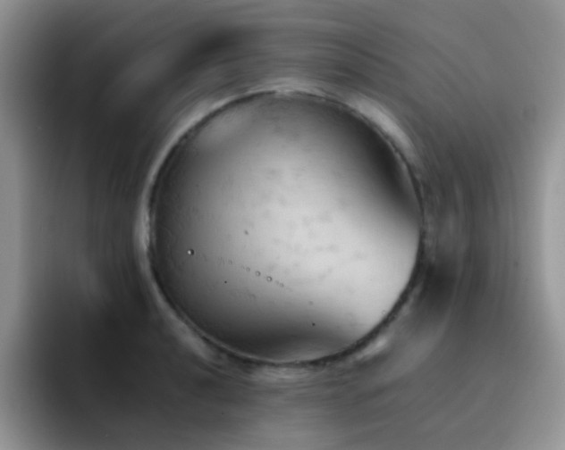 X0000092221040200709141041
