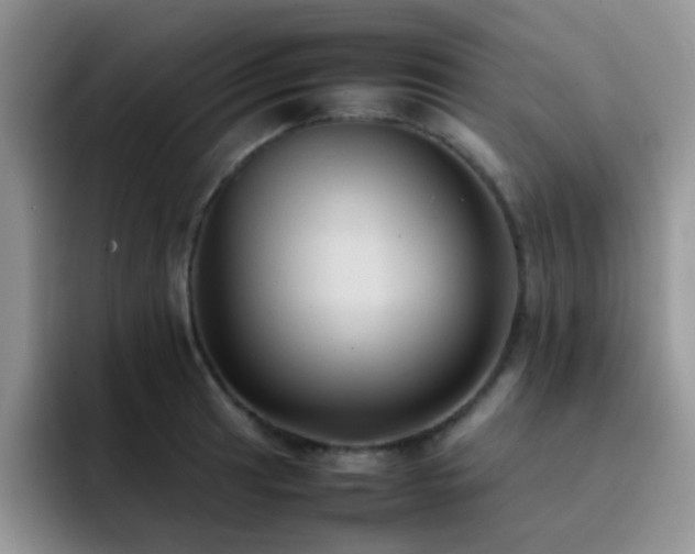 X0000092221041200709141041