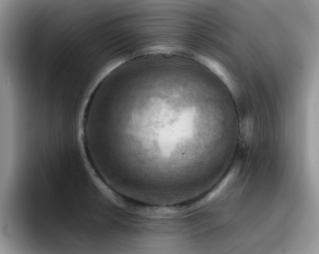 X0000092221042200709141041