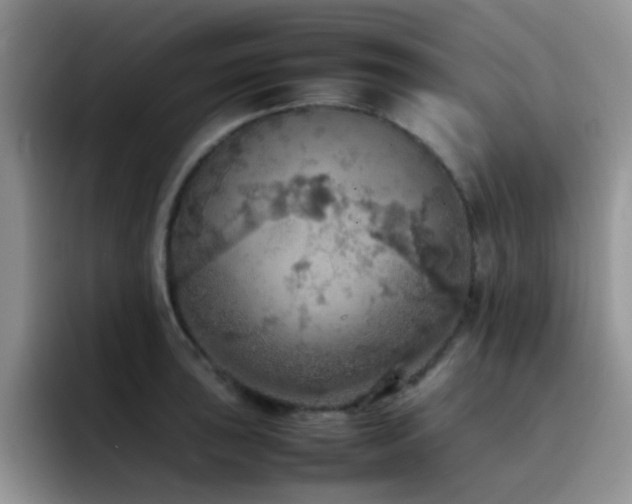X0000092221043200709141041