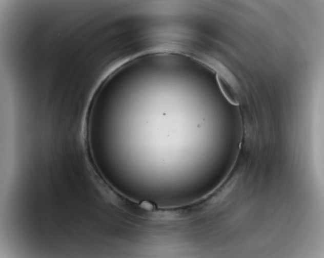 X0000092221044200709141041