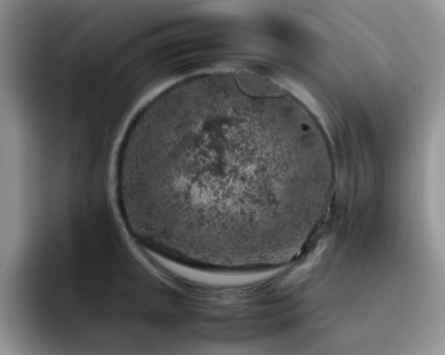 X0000092221045200709141041
