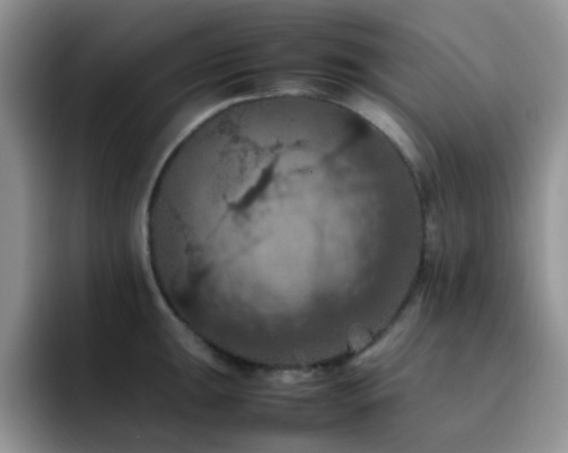 X0000092221047200709141041