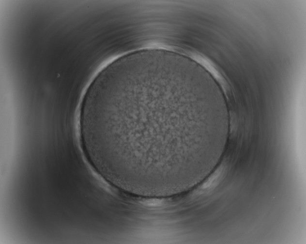 X0000092221048200709141041