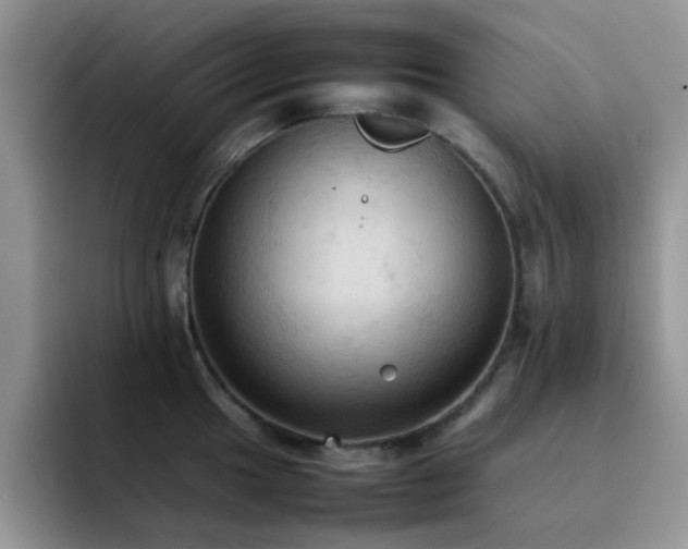 X0000092221049200709141041