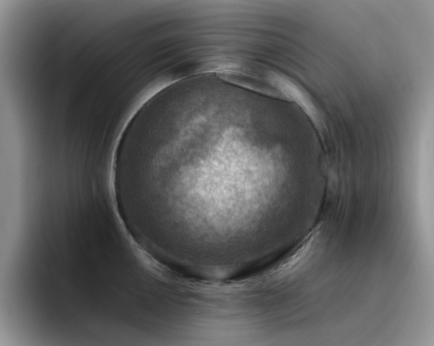 X0000092221050200709141041