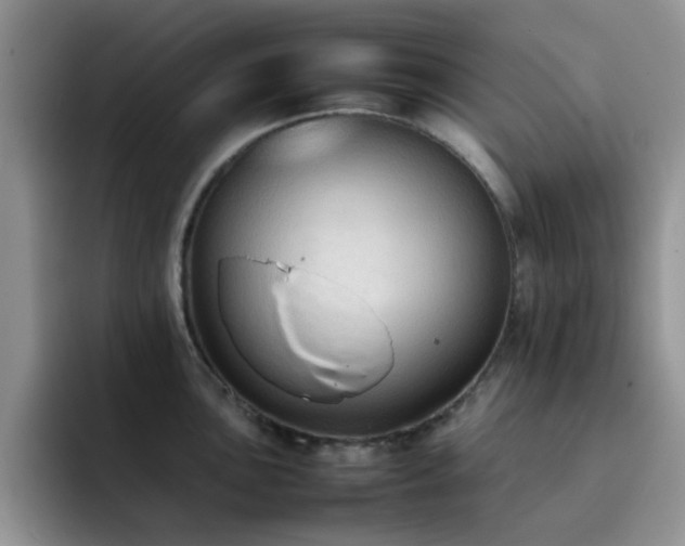 X0000092221051200709141041