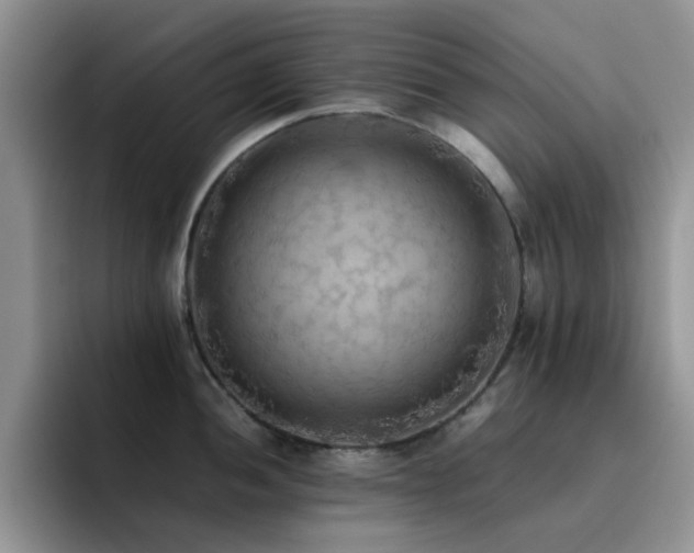 X0000092221052200709141041