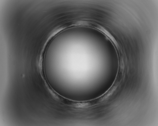 X0000092221053200709141041