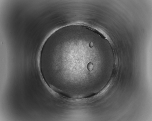 X0000092221054200709141041