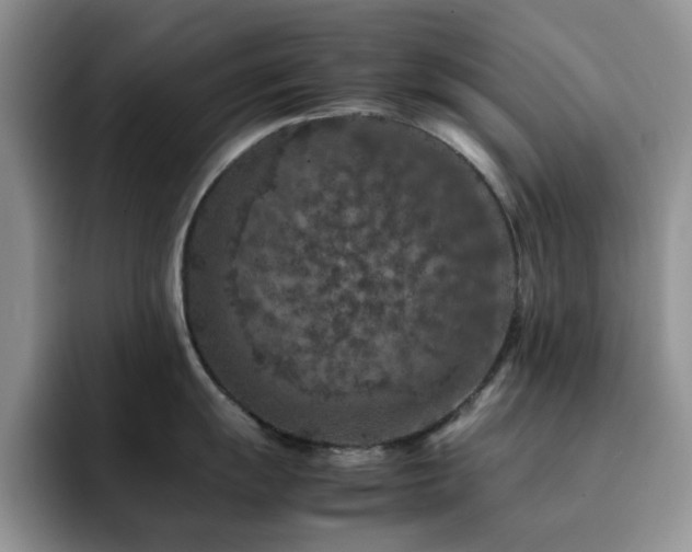 X0000092221055200709141041