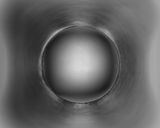 X0000092221056200709141041