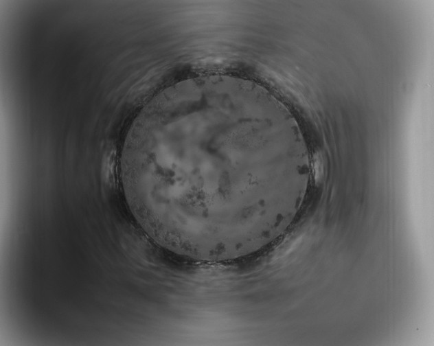 X0000092221059200709141040