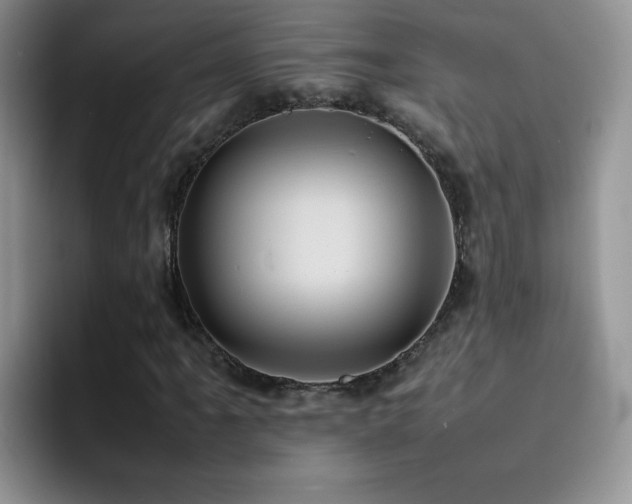 X0000092221061200709141040