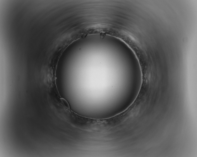 X0000092221062200709141040