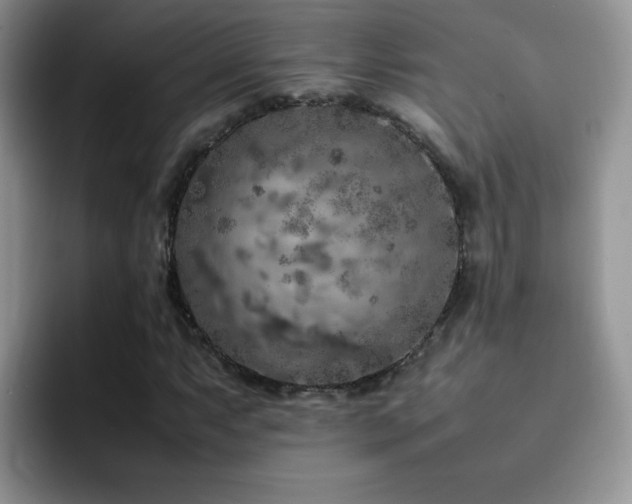 X0000092221063200709141040
