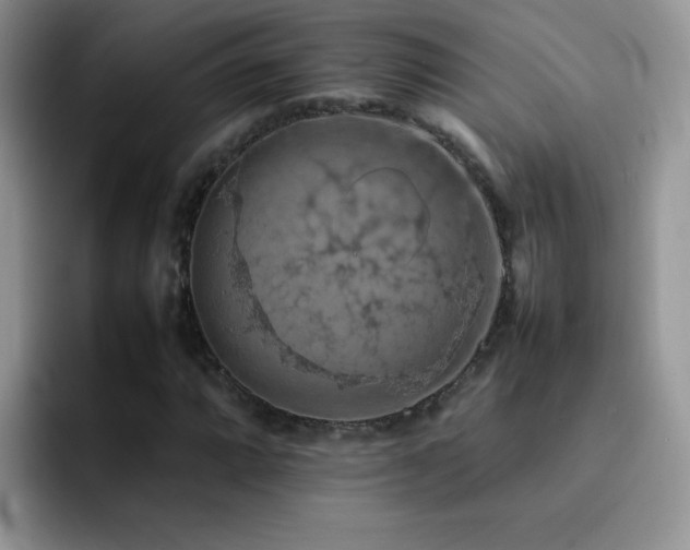 X0000092221064200709141040