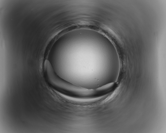 X0000092221065200709141040