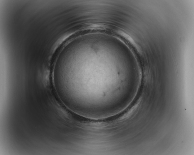 X0000092221066200709141040