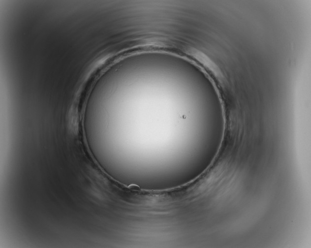 X0000092221067200709141040