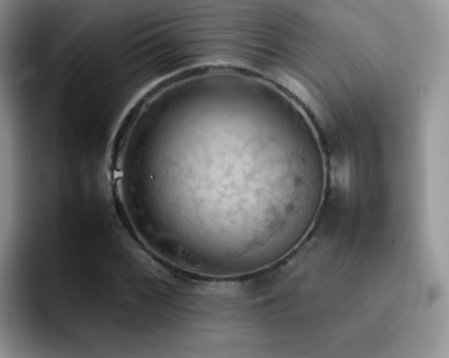 X0000092221068200709141040